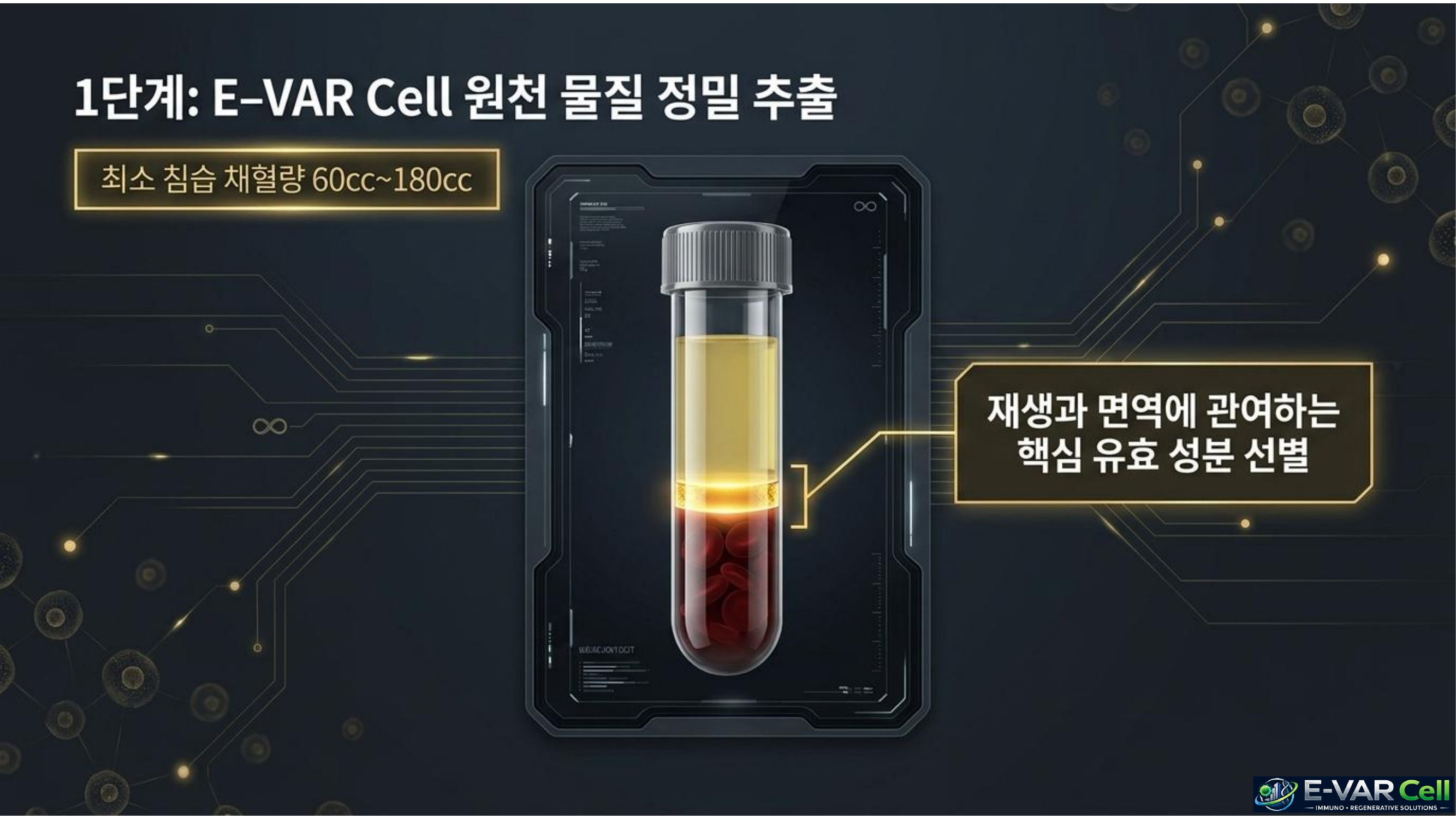 E-VAR Cell 슬라이드 4
