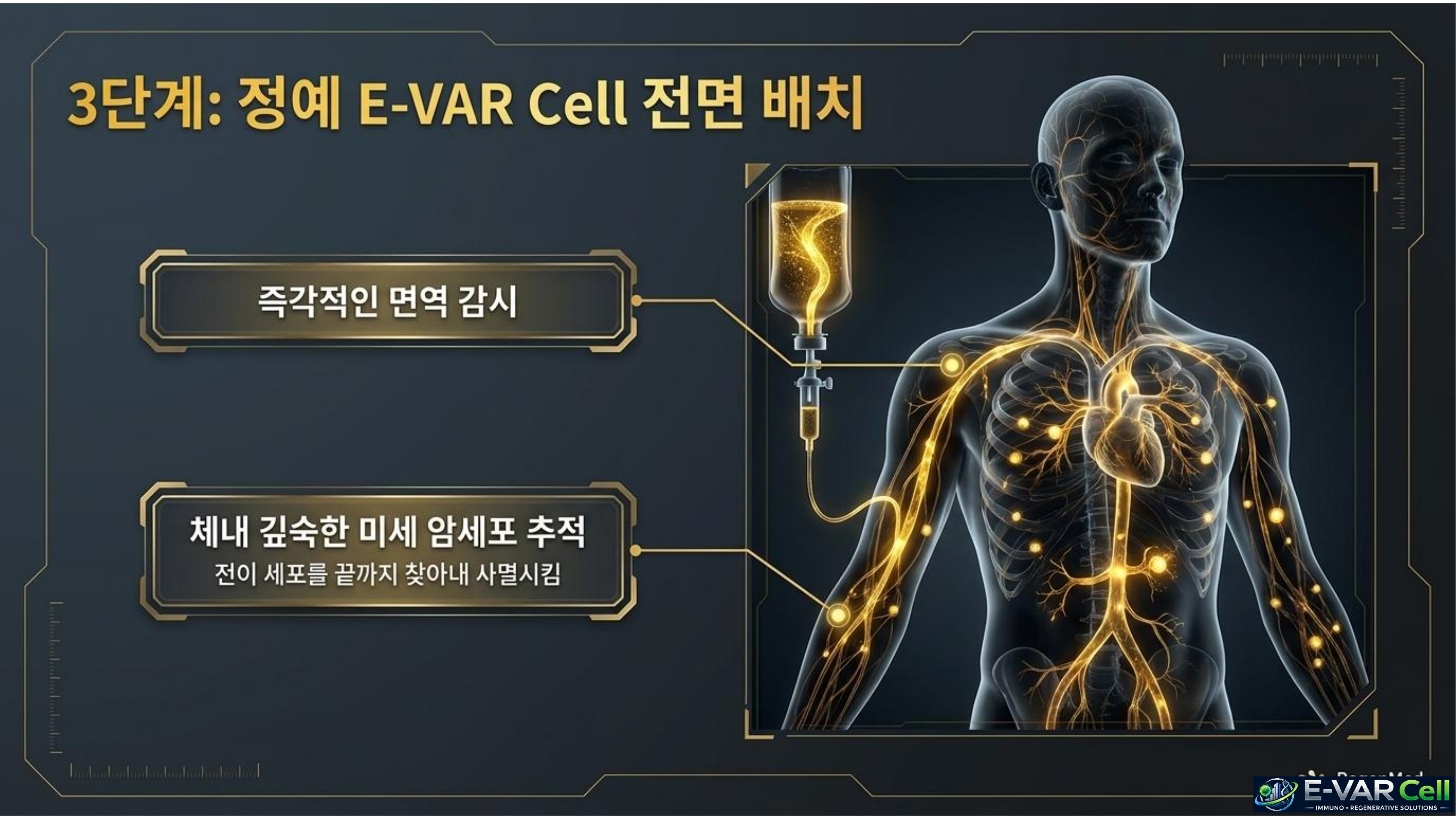 E-VAR Cell 슬라이드 7