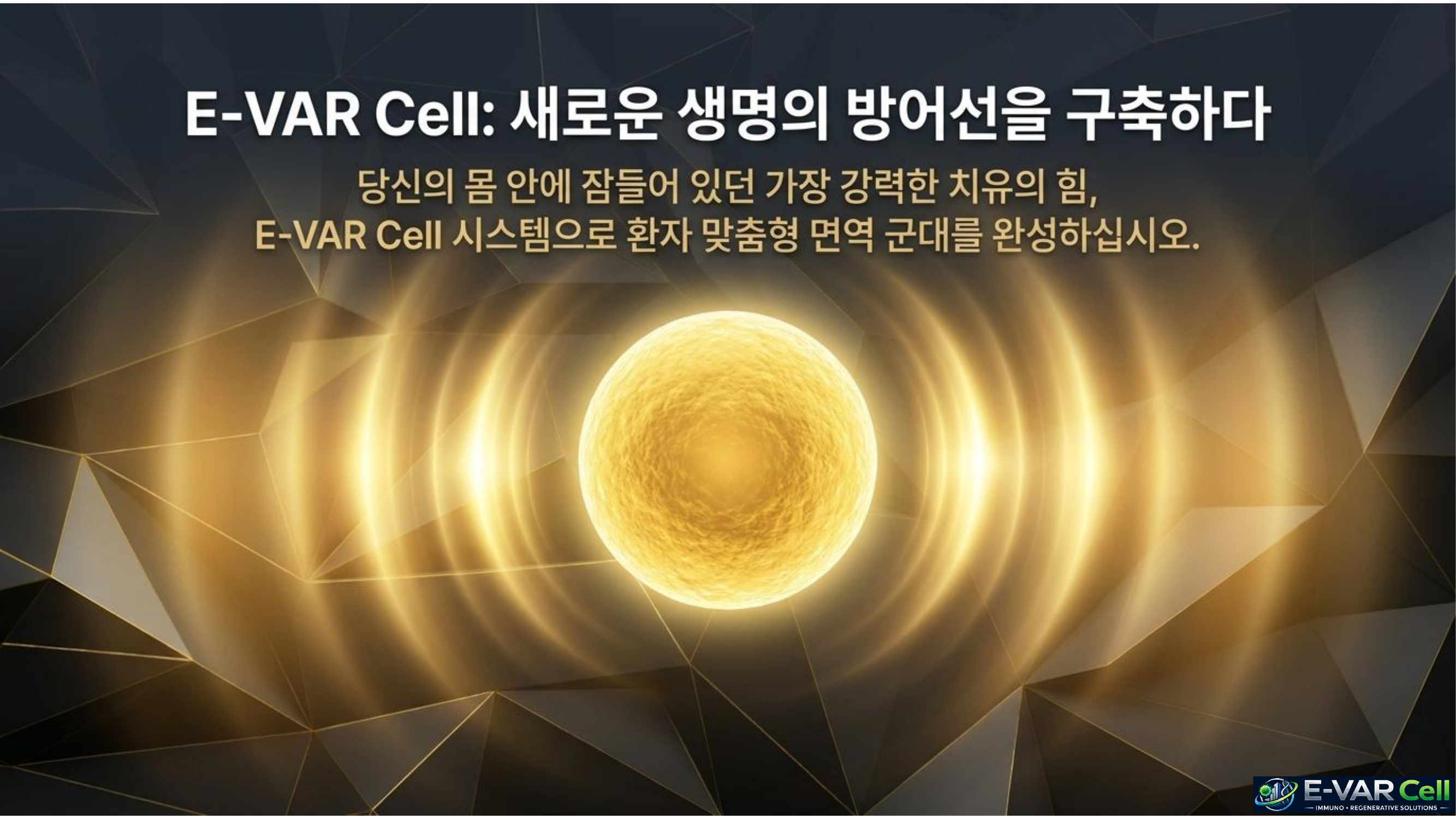 E-VAR Cell 슬라이드 11